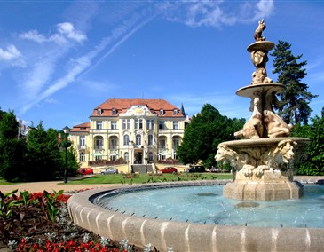 Outpatient Stay Lux for children Stone Spa - Czech Republic