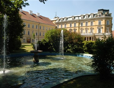 Outpatient Stay Lux Beethoven Spa - Czech Republic