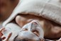 Wellness balíček 5 nocí - Czech Republic