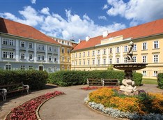 Accompanying Person - 