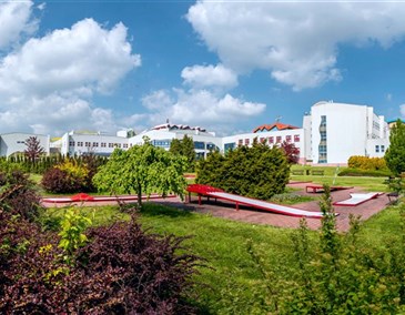 Accompanying person - Czech Republic