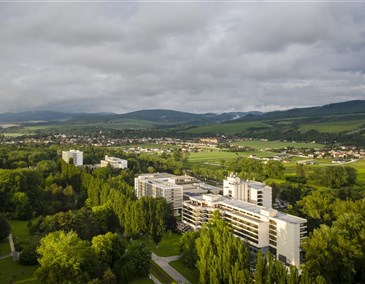 Accommodation with Half board - Piestany