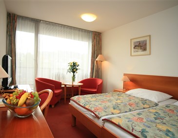 Accompanying Person Spa Hotel Thermal - Karlovy Vary