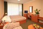 Accompanying Person Spa Hotel Thermal - Karlovy Vary
